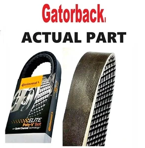 NEW Serpentine Poly-V Belt The Quiet Belt GATORBACK CONTINENTAL ELITE 4070715 - Picture 1 of 3