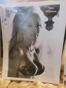 June Wilkinson 8x10 signed - Picture 1 of 1