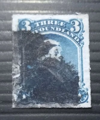 NL # 39 usado, elegante cxl, XF Foto 1 de 2