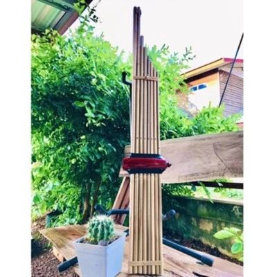 Órgano de boca de bambú Khaen Isan Laos instrumento musical artesanía tradicional Foto 1 de 4