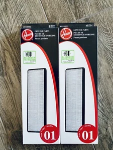 (2) Hoover Type 01 Filters Part No. 43613021 Genuine Hoover Parts - Picture 1 of 1