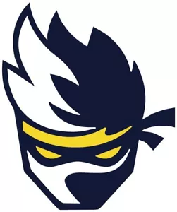 NINJA FORTNITE DECAL CARS TRUCKS - Picture 1 of 1