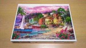 Chuck Pingson Golden Shore Jigsaw Puzzle 1000 Piece Used Appleone - Picture 1 of 10