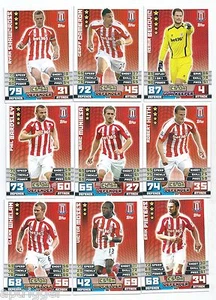2014 / 2015 EPL Match Attax STOKE CITY Team Set (254-270) 17 Cards - Bild 1 von 2