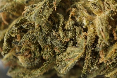 4 oz. Beyond Organic HEMP TEA folha solta - Sour Lifter - Imagem 1 de 4