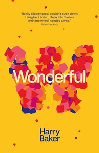 Wonderful Wonderful - Picture 1 of 12