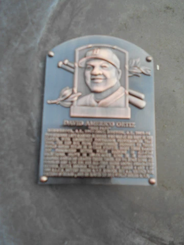 DAVID ORTIZ baseball HOF INDUCTION PLAQUE PIN boston red sox Cover