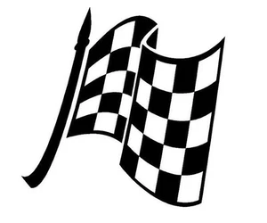 CHECKERED FLAG #18 DECAL VINYL GRAPHIC CAR TRUCK  SUV VAN  SEMI CROSS OVER BLAZE - Picture 1 of 2