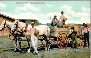 BLACK AMERICANA - COSECHADORAS DE SANDÍA WASHINGTON - POSTAL ANTIGUA - Imagen 1 de 2