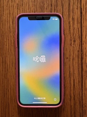 Apple iPhone X 256GB Unlocked Silver Pre-Owned Used w/box and more - Image 1 of 4