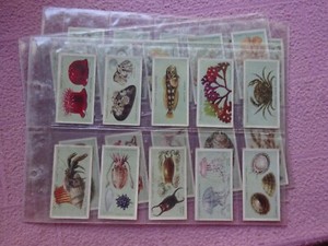 COMPLETE SET - HIGNETT - COMMON OBJECTS OF THE SEA SHORE  abt / nr GD