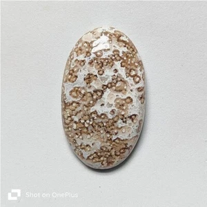 Natural Flower Agate Gemstone Flower Agate Loose Stone Jewelry 36 Cts. ME-10088 - Picture 1 of 3