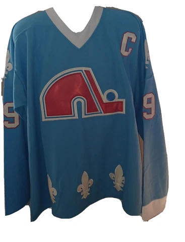 Joe Sakic #19 Quebec Nordiques Stitched NHL Hockey Jersey Baby Blue medium 48 Cover