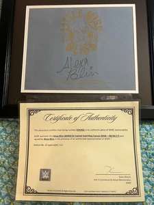 Alexa Bliss SIGNED Framed & Matted Authentic Ring Used Mat Canvas WWE Certified - Picture 1 of 7
