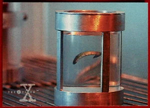 X-FILES - SEASON ONE - Card #40 - PARASITIC WORMS - Topps - 1996 - Picture 1 of 2