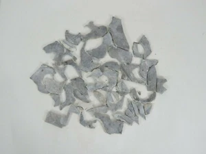 Petoskey Stones 2lbs Cut/Slab Unpolished - Picture 1 of 7