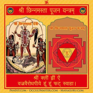 Shri Chinnamasta Pujan Yantra - Imagen 1 de 3