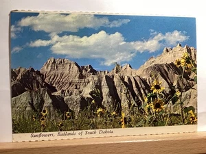 Sunflowers: Badlands of South Dakota- Vintage Postcard - Picture 1 of 3