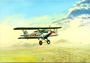 Postcard Hawker Demon From Painting By Thomas Fishburn British 2 Seat Biplane - Picture 1 of 2