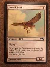 Suntail Hawk - Magic The Gathering 2014 - MTG - Creature