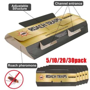 5/10/20/30 Pack Roach Traps, Cockroach Traps Indoor Home, Glue Roach Traps - Picture 1 of 9