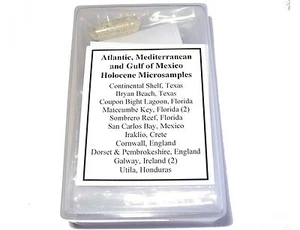 Holoceno Océano Atlántico foraminíferos ostracodo microfósil Colección 14 muestras - Imagen 1 de 12