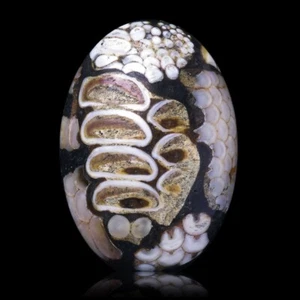 ★☆ PIERRE PEAU DE SERPENT 6,59 CT d'Indonésie - 16,9 mm - GEM-3217 ☆★ - Picture 1 of 1