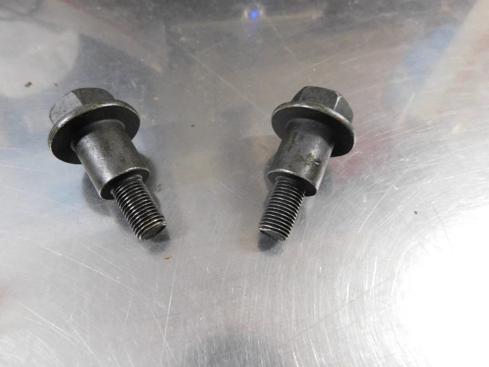 NUEVO JUEGO 2 PERNOS 702467YP PARA MOTOSIERRA PARGO --- CAJA 6109-O Foto 1 de 1