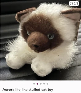 Aurora - Miyoni - Peluche realistico gatto siamese 8,5" - Foto 1 di 5