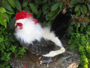 Life Size 18” Rooster Hansa Chicken Realistic Stuffed Animal Plush Toy - Picture 1 of 8