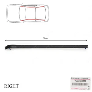 Right Moulding Roof Drip Side 75551-0K031 For Toyota Hilux Vigo Champ 2005 2014 - Imagen 1 de 8