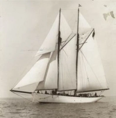 ALTAIR, William Fife III 40m. Schonerjacht von 1931 - Bild 1 von 4