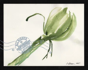 Lady, Yet to Bloom 2015 C Peterson * Aquarell Gemälde * Garten Blumen Skizze - Bild 1 von 12