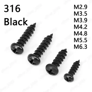Tornillos autogolpes Phillips Pan de acero inoxidable negros 316 M2.9 M3.5 M4.2 - Imagen 1 de 6