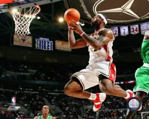 LeBron James Cleveland Cavaliers lizenziertes 8 x 10 Foto AAJB092 - Bild 1 von 1