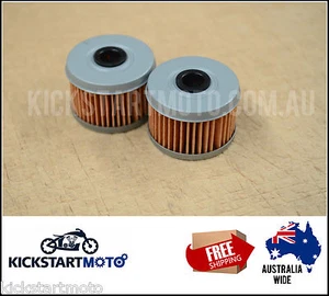 Oil Filter for Honda TRX250 TRX300 TRX350 TRX400 TRX450 CBF250 (Twin Pack) TRX - Picture 1 of 1