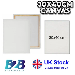 30X40cm Artists Plain Blank White Canvas Sketching Painting Drawing Art Board - Picture 1 of 5