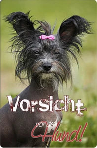 CHINESE CRESTED Chinesischer Schopfhund - A4 Alu Warnschild Schild - OPF 02 T31 - Bild 1 von 2