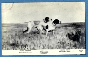 Jagdhunde: Pointer oder Setter VINTAGE PC. 7167 - Bild 1 von 2