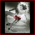 ANDREA KING  1940S SEXY LEGGY CHEESECAKE PIN-UP 8X10 PHOTO