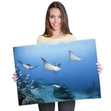 A1 - Black Spotted Eagle Manta Ray Poster 60X90cm180gsm Print #21244