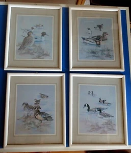 4 Bilder Kunstdruck Vintage Entendruck Anni Moller, mit Rahmen ca. 22 x 27 cm - Bild 1 von 5