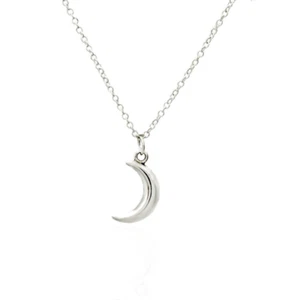 Collana LUNA Argento con catena Acciaio inox e ciondolo 3D Portafortuna da Donna - Foto 1 di 8