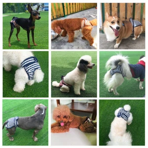 Female Pet Dog Nappy Diaper Season Puppy Knicker Hygiene Menstrual Pants S-2XL - Picture 1 of 15