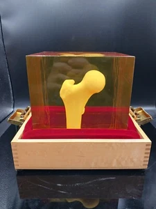 Hologic WHF-1 Anthropomorpic Femur Phantom With Wooden Case - Picture 1 of 11