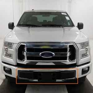 Front Bumper Trim & License Plate  Fit For 2015 2016 2017 Ford F-150 Black - Picture 1 of 11
