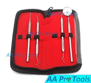 Dental 4 Pcs Tartar Calculus Plaque Remover Tooth Scraper Mirror Scaler - Picture 1 of 3
