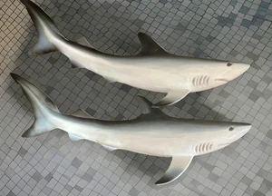 3er-Set demmensale weiße Hai Wandbehang Dekor maritim 16 Zoll 🦈 - Bild 1 von 7