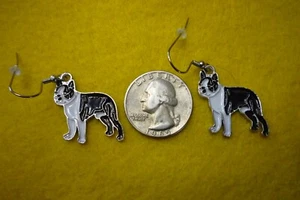 Boston Terrier earrings - Picture 1 of 1