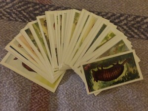  "INTERESTING ANIMALS" (1954) ~ Complete Set of  50 from Neilson's Confectionary